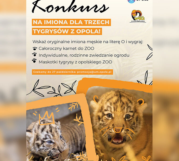 Konkurs: Wybierz imiona dla opolskich tygrysów!