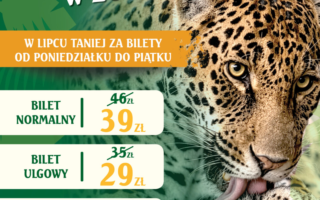 Letnia promocja biletowa w ZOO Opole